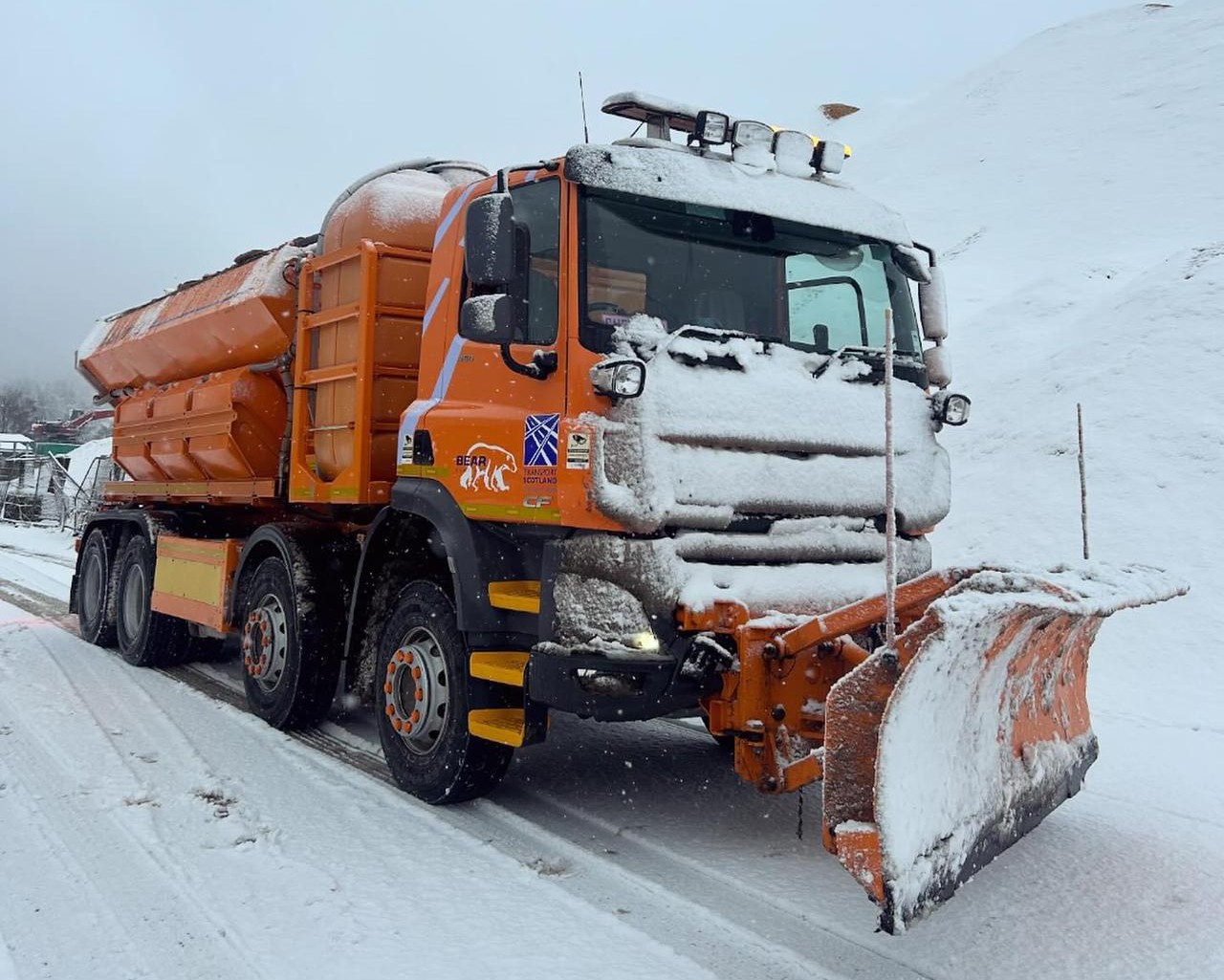 NAME A BEAR SCOTLAND GRITTER