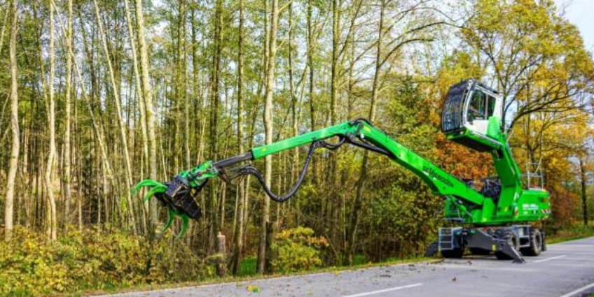 PROGRAMME OF ESSENTIAL TREE FELLING BETWEEN CONNEL AND OBAN